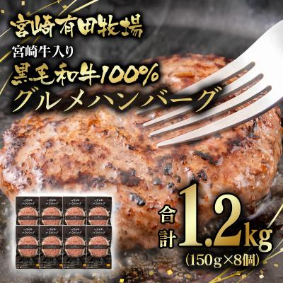 ふるさと納税 西都市 合計1.2kg!宮崎牛入り!宮崎県産黒毛和牛100%グルメハンバーグ150g×8[2823]