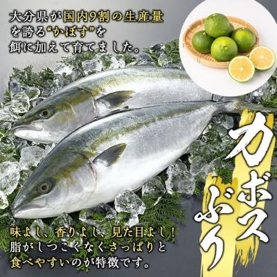 ふるさと納税 佐伯市 (刺身用)佐伯産カボスぶり 低温熟成魚切り身 約300g|y-sf|03