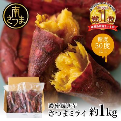 ふるさと納税 南さつま市 [焼き芋専門店 維新蔵]鹿児島県産 濃蜜焼き芋 さつまミライ 約1kg さつまいも 焼き芋 スイーツ