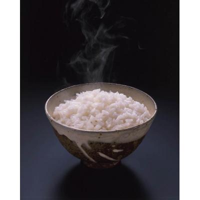 ふるさと納税 焼津市 パパッとライス こしひかり1ケース(200g&times;24入り)(a13-053)