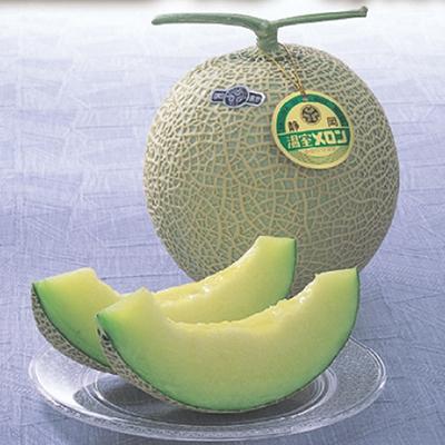 ふるさと納税 伊豆の国市 [先行受付][期間限定]こだわりの逸品!伊豆温室メロン(1玉)