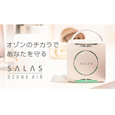 ふるさと納税 赤磐市 オゾン 除菌 消臭器 オゾン [ エアー サラス ] 家電 日用品 除菌 [NO5765-0203]