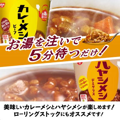 ふるさと納税 焼津市 日清カレーメシとハヤシメシ(a13-101) : さとふる