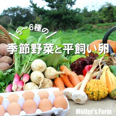 ふるさと納税 海士町 [ふるさと納税]季節の野菜詰め合わせ(5〜6種)と平飼い卵セット