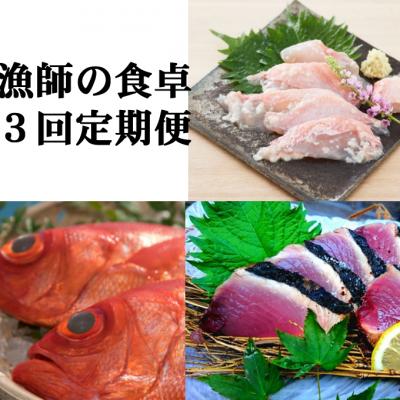 ふるさと納税 室戸市 漁師の食卓定期便[3回お届け]