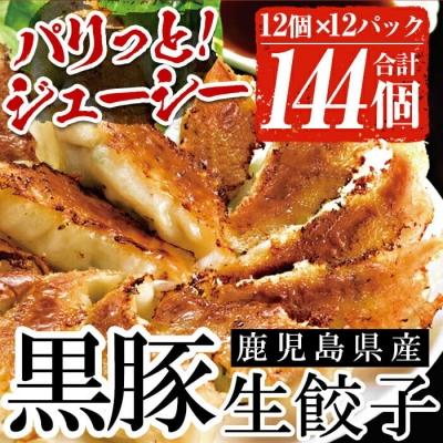 ふるさと納税 いちき串木野市 鹿児島黒豚生餃子 合計144個(12個×12P)