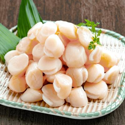 ふるさと納税 紋別市 冷凍帆立貝柱200g×5パック(計1kg) | ホタテ