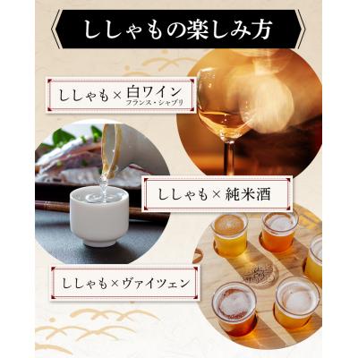 ふるさと納税 釧路市 本場くしろ産 ししゃもオス・メス30尾入り! 本ししゃも 魚 ししゃも 魚介 海 F4F-5648