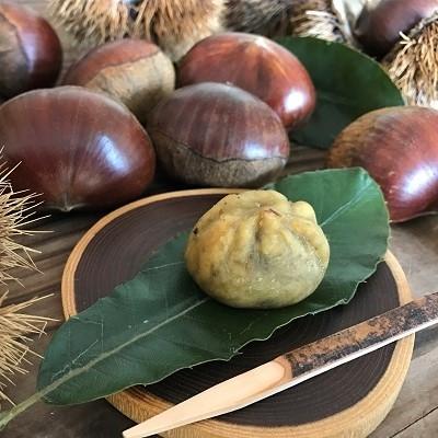 通販オフィシャルストア ふるさと納税 三田市 焼き栗きんとん 定期販売 App Digitallimegreen Co Za