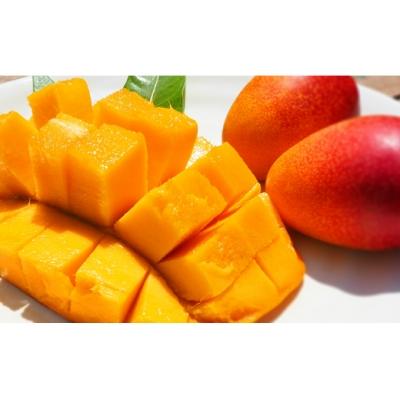 楽天カード分割 錦江町 ふるさと納税 訳あり完熟マンゴー 2l以上5個 7個 No 3042 1 売り切れ必至 Homeofmalones Com