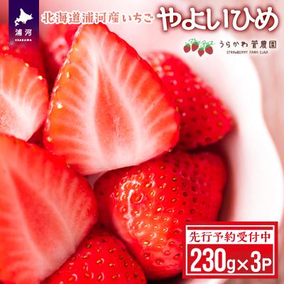 ふるさと納税 浦河町 [先行受付開始!]北海道浦河産いちご「やよいひめ」230g×3P[13-883]