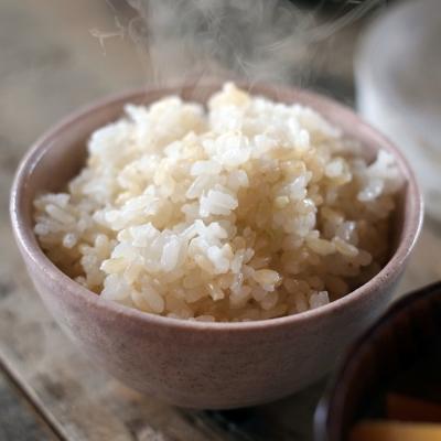 限定製作 小郡市 ふるさと納税 定期便 1等級米 1粒からこだわる にこまる 玄米 5kg 6回 公式 Kuljic Com