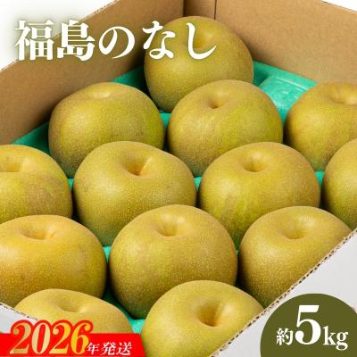 ふるさと納税 福島市 [2026年発送 先行受付]福島のなし 約5kg(幸水または豊水)No.2043