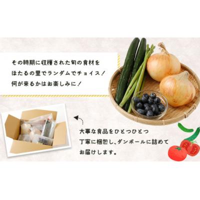 ふるさと納税 宗像市 むなかたの幸 詰め合わせセット計1kg(野菜果物・米・干物・加工品)【JAほたるの里】_HA0265｜y-sf｜03