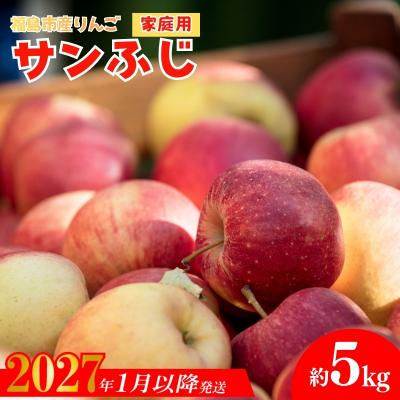 ふるさと納税 福島市 りんご 「サンふじ」家庭用 約5kg[2027年1月より発送]No.2065
