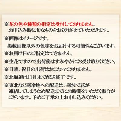 ふるさと納税 小郡市 草場農園 洋ラン シンビジウム (3本立て) 直立タイプ 〜日常に彩りを〜 3本立て 　