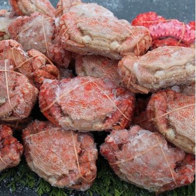 売り切れ必至 根室市 ふるさと納税 北海道根室産 クリガニ24 28尾 計4kg前後 花咲ガニ1尾 A 新しいコレクション Gestcapchile Cl