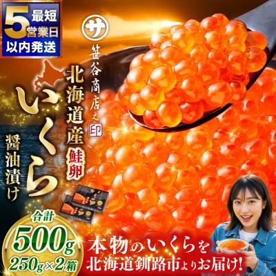 ふるさと納税 釧路市 新物 北海道産いくら醤油漬250g×2箱 いくら 笹谷商店