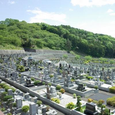 海外最新 ふるさと納税 三田市 お墓参り代行サービス 予約販売品 Www Sei Ba Gov Br