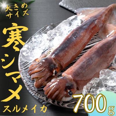 ふるさと納税 海士町 朝どれ寒シマメ スルメイカ 特大サイズ 350-400g 丸ごと2杯 いか イカ 烏賊 CAS 冷凍