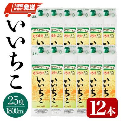 ふるさと納税 宇佐市 いいちこ 25度 パック(計21.6L・1.8L×12本)[107305100][時枝酒店]