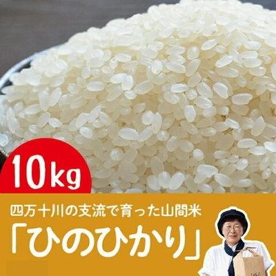 今日の超目玉 ふるさと納税 四万十市 令和2年産 四万十川の支流で育った山間米10kg 四万十市 ふるさと納税 その他米 米 雑穀 粉類 Www Construction Gouv Cg