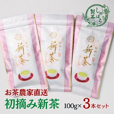 ふるさと納税 西都市 [新茶]お茶農家直送 初摘み新茶3本セット さえみどり[先行受付][3165]
