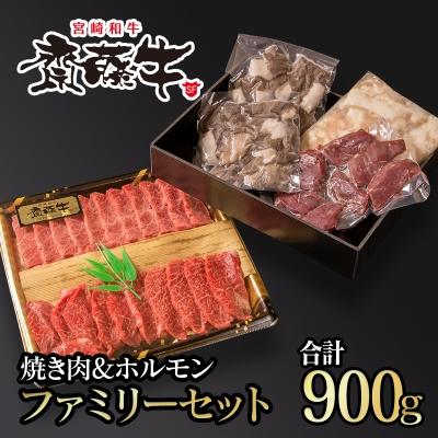 ふるさと納税 西都市 宮崎和牛 齋藤牛 [計約900g]焼肉&amp;ホルモン ファミリーセット[2254]