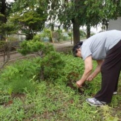 ふるさと納税 岩沼市 [岩沼市]空き家管理サービスB(見回り・ゴミ拾いや草刈・報告)