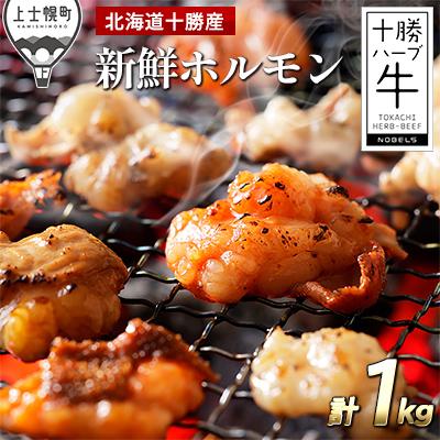 ふるさと納税 上士幌町 十勝ハーブ牛 味付きホルモンミックス&lt;200g×5P&gt;