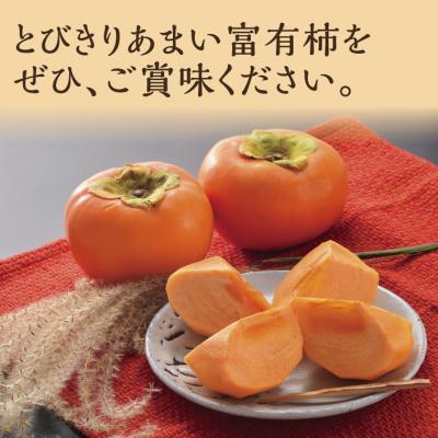 ふるさと納税 鳥取市 富有柿