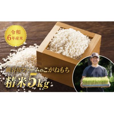 ふるさと納税 西会津町 令和6年産米 減農薬・減化学肥料栽培 もち米 こがねもち 5kg
