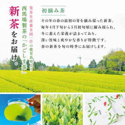 ふるさと納税 南さつま市 【新茶】 初摘み茶3本セット <2026年:5月中旬出荷開始> 西馬場製茶_1