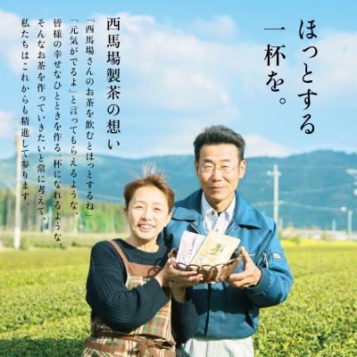 ふるさと納税 南さつま市 【新茶】 初摘み茶3本セット <2026年:5月中旬出荷開始> 西馬場製茶_2