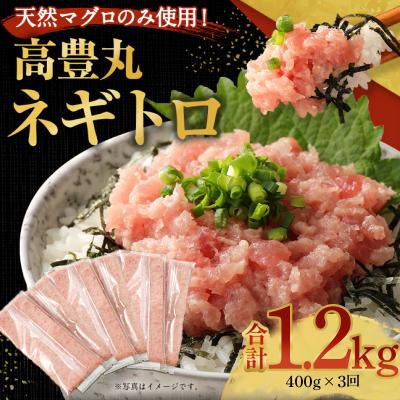 ふるさと納税 室戸市 ねぎとろ(まぐろのたたき) 定期便 小分けセット ネギトロ丼や海鮮丼などアレンジさまざま