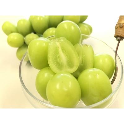 人気絶頂 笠岡市 ふるさと納税 岡山県産シャインマスカット 先行受付 さとふる 通販 Yahoo ショッピング 人気特価激安 Gestion Earpad Fr