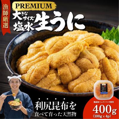 ふるさと納税 利尻町 [2026年発送受付]漁師厳選!利尻天然うに"プレミアム"ムラサキウニ 400g