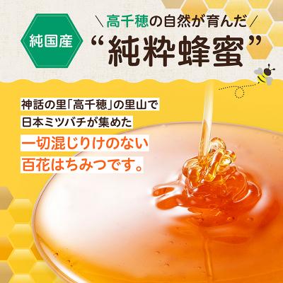ふるさと納税 高千穂町 日本みつばち 高千穂の純粋蜂蜜 300g×2本