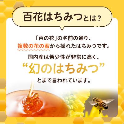 ふるさと納税 高千穂町 日本みつばち 高千穂の純粋蜂蜜 300g×2本