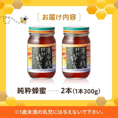 日本蜜蜂の蜂蜜 (A)　2本合計2．4㎏ 日本蜜蜂のハチミツ100％！はちみつ1.2kg 高級 自然食品 無添加