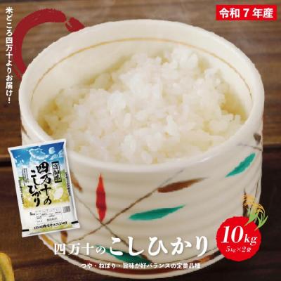 ふるさと納税 四万十市 [令和7年産]四万十のこしひかり10kg (5kg×2袋) R8