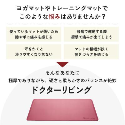 ふるさと納税 加西市 [ドクターリビング]トレーニング冊子付き ヨガマット トレーニングマット[No5698-0740]の画像