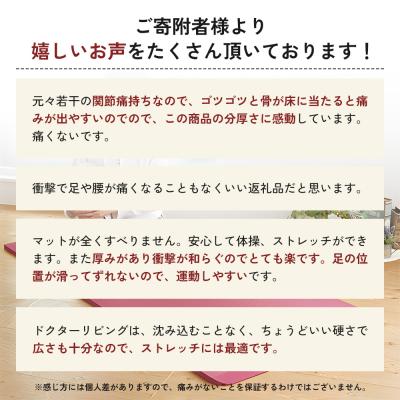 ふるさと納税 加西市 [ドクターリビング]トレーニング冊子付き ヨガマット トレーニングマット[No5698-0740]の画像