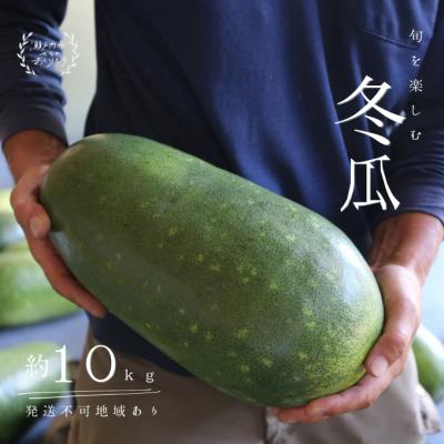 ふるさと納税 瀬戸内市 瀬戸内牛窓産 冬瓜(とうがん)約10kg