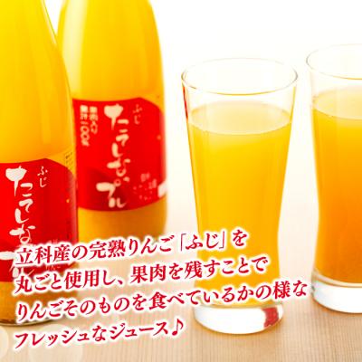 ふるさと納税 立科町 果肉入り林檎ジュース11本・おつまみセット[R3-04-12]の画像