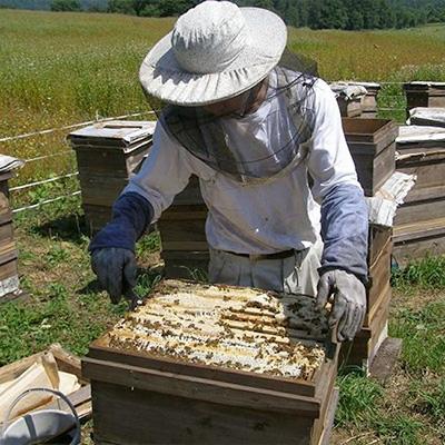 ふるさと納税 横瀬町 はちみつ2本セット「そばの花 蜂蜜」「百花