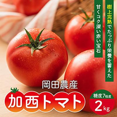 ふるさと納税 加西市 トマト 2kg トマトの一番星 野菜 とまと 完熟 高糖度 冷蔵配送[No5698-0714]