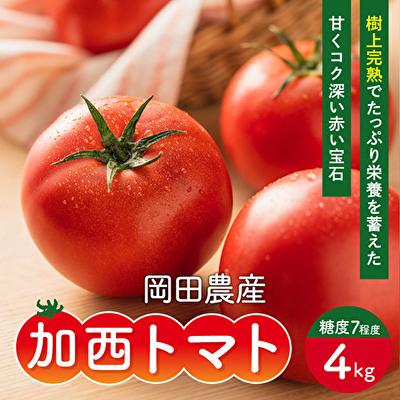 ふるさと納税 加西市 トマト 4kg トマトの一番星 野菜 とまと 完熟 高糖度 冷蔵配送[No5698-0605]