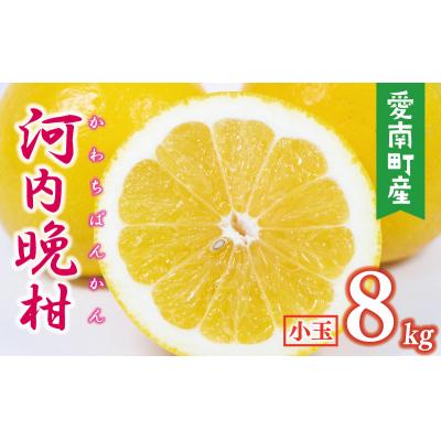 ふるさと納税 愛南町 数量限定 先行受付 河内晩柑 樹齢 25年以上 小玉 8kg みかんの山祥 愛南町 愛媛県