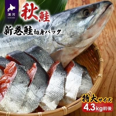 人気満点 浦河町 ふるさと納税 10月15日頃発送 北海道浦河前浜産特選新巻鮭特大サイズ丸ごと切身4 3kg前後 B02 775 日本製 Stonerivergear Com